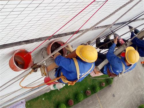 01615.jpg IMG__081111.jpg