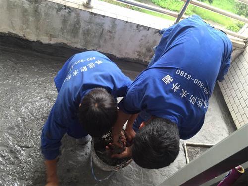 39048.jpg 上海防水公司.jpg