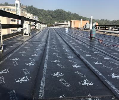 95534.jpg 防水公司 (3).JPG