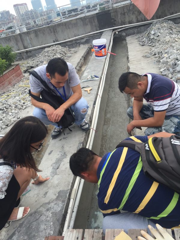 20355.jpg 微信圖片_707.jpg