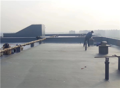 84844.jpg 微信圖片_1440195.jpg