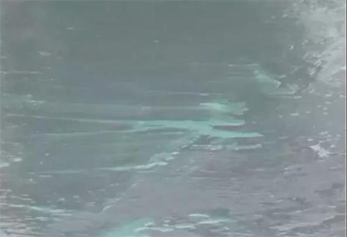 防水補漏 (2).jpg