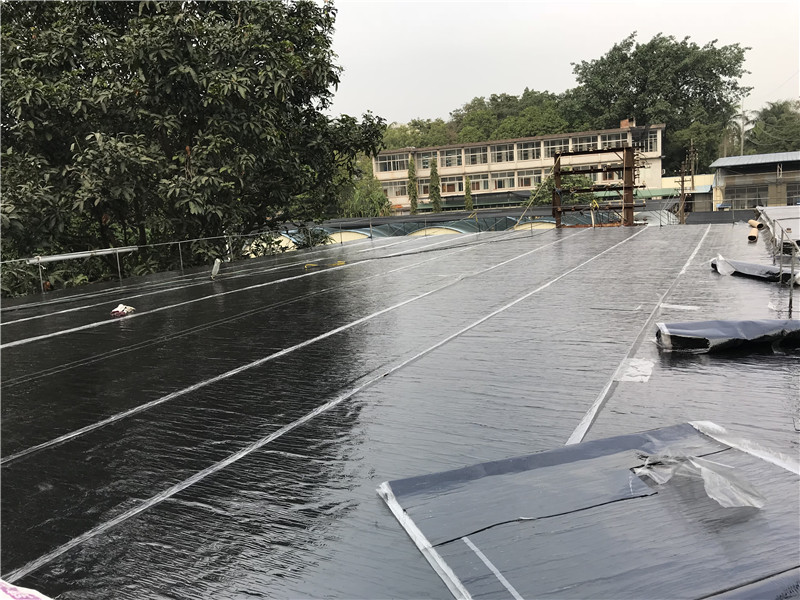 31172.jpg 微信圖片_092113.jpg