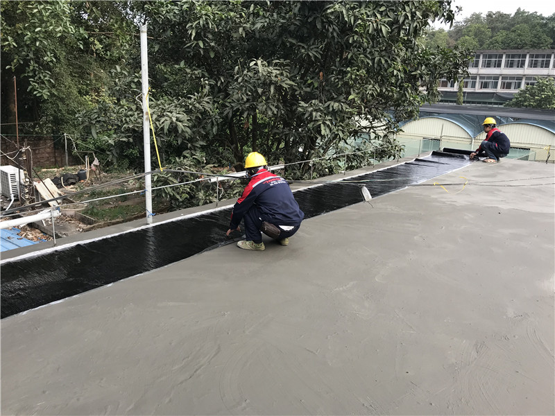 06443.jpg 微信圖片_090655.jpg