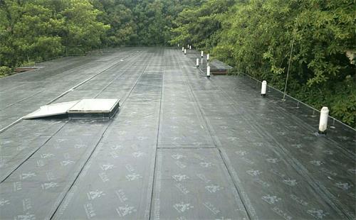 07656.jpg 防水補(bǔ)漏.jpg